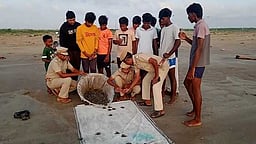 வேதாரண்யம் கடலில் விடப்பட்ட ஆமைக் குஞ்சுகள்