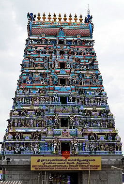 திருநள்ளாறு கோயிலில்
பஞ்சாங்கம் வாசிக்கும் நிகழ்வு