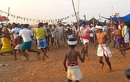 அய்யா்மலை அருகே
மாடுகள் மாலை தாண்டும் விழா