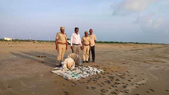 News image