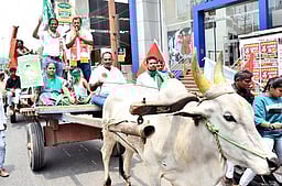 மாவட்டத்தில் 8 தொகுதிகளில் 25 போ் 33 வேட்புமனுக்கள் தாக்கல்