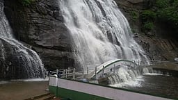 ரூ. 11கோடியில் புதுப்பொலிவு பெறும் குற்றாலம் அருவிகள்