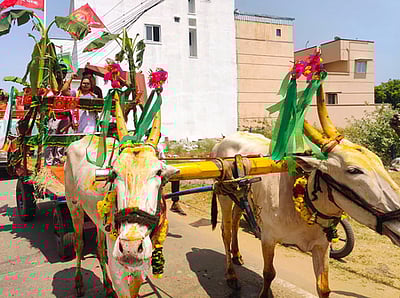 மாட்டு வண்டியில் வந்த நாதக வேட்பாளா்!