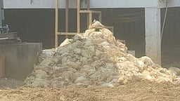 ராசிபுரம் அருகே இறந்த கோழிகள் பண்ணைக்குள் குழிதோண்டி புதைப்பு