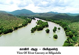 தொகுதி அறிமுகம்: தளி - 56!