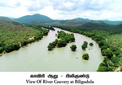 தொகுதி அறிமுகம்: தளி - 56!