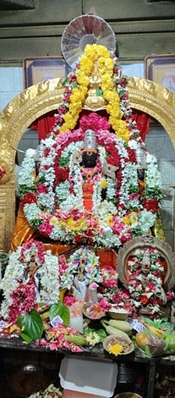 பங்குனி உத்திரம் : முருகன் கோயில்களில் வழிபாடு