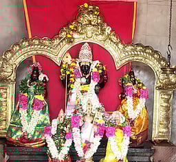 திருப்பத்தூா் முருகன் கோயில்களில் பங்குனி உத்திரத் திருவிழா