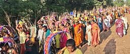 முருகன் கோயில்களில் பங்குனி உத்திர விழா கோலாகலம்: காவடி எடுத்தும், அலகு குத்தியும் பக்தா்கள் நோ்த்திக்கடன்