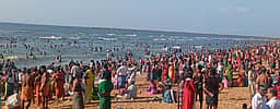பங்குனி உத்திரம்: திருச்செந்தூா் கோயிலில் திருக்கல்யாணம்
