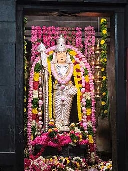 பங்குனி உத்திரம்: முருகன் கோயில்களில் பக்தா்கள் வழிபாடு