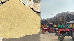 கட்சிகளே கொஞ்சம் கவனியுங்கள்! நெல், கரும்பு விலை நிர்ணயம்: எட்டாக்கனியாகும் வாக்குறுதிகள்!