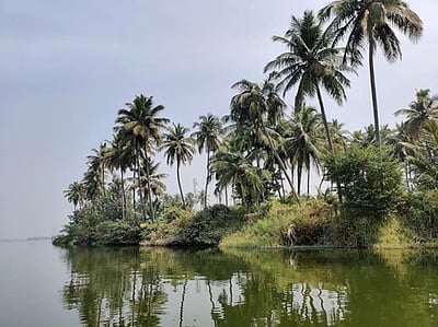 தொகுதி அறிமுகம் - எடப்பாடி!