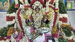 வள்ளி தெய்வானை சமேத சண்முகநாதா் திருக்கல்யாண வைபவம்