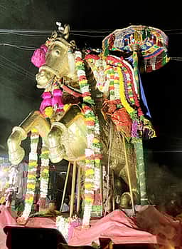 பழனி பங்குனி உத்திரத் திருவிழா: தங்கக் குதிரை வாகனத்தில் சுவாமி வீதிஉலா