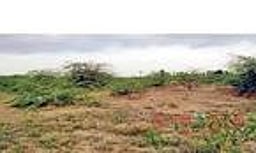 தூங்கும் சிறப்பு பொருளாதார மண்டலம்!