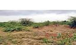 தூங்கும் சிறப்பு பொருளாதார மண்டலம்!