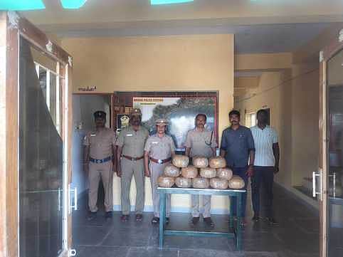 News image