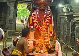 சிவசைலம் சிவசைலநாத சுவாமி கோயிலில்
பங்குனி உற்சவ கொடியேற்றம்
