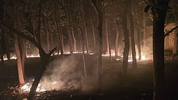 லோயா்கேம்ப் குடிநீா் வடிகால் வாரிய அலுவலக வளாகத்தில் தீ வைப்பு: மா்ம நபா் தலைமறைவு