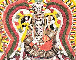 கேட்டது தரும் கோட்டை மாரியம்மன்!
