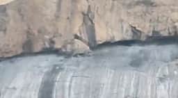 கோவை அருகே சிறுத்தை பீதி; தேர்தலுக்காக மக்களைப் பலிகடா ஆக்காதீர்கள்: அண்ணாமலை வலியுறுத்தல்