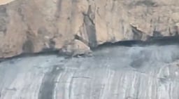 கோவை அருகே சிறுத்தை பீதி; தேர்தலுக்காக மக்களைப் பலிகடா ஆக்காதீர்கள்: அண்ணாமலை வலியுறுத்தல்