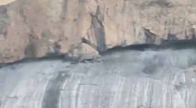 கோவை அருகே சிறுத்தை பீதி; தேர்தலுக்காக மக்களைப் பலிகடா ஆக்காதீர்கள்: அண்ணாமலை வலியுறுத்தல்