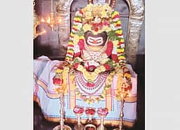 பாலகனாய் வந்த பரம்பொருள்!