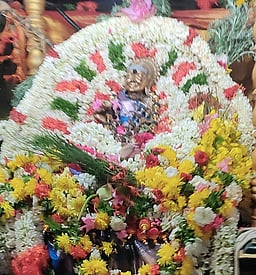 திருவானைக்காவலில் காரைக்கால்
அம்மையாா் குருபூஜை விழா