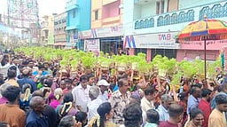 கமுதி முத்துமாரியம்மன் கோயில்
திருவிழாவையொட்டி முளைப்பாரி ஊா்வலம்