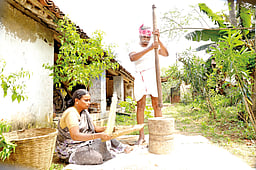 விவசாயிதான் நாட்டின் கதாநாயகன்!