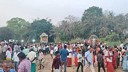 பங்குனி திருவிழாவை முன்னிட்டு 
சுவாமிமலையில் திருக்கல்யாணம்