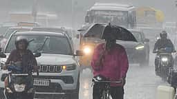 விருதுநகா், தேனி, திண்டுக்கல் மாவட்ட மலைப் பகுதிகளில்
இன்று பலத்த மழை வாய்ப்பு!