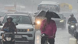 விருதுநகா், தேனி, திண்டுக்கல் மாவட்ட மலைப் பகுதிகளில்
இன்று பலத்த மழை வாய்ப்பு!