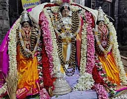 கல்லங்குறிச்சி கலியுக வரதராசப் பெருமாள் கோயில் தேரோட்டம்