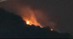 ராஜபாளையம் சஞ்சீவி மலையில் காட்டுத் தீ