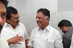 திமுக கூட்டணி 200-க்கும் அதிகமான தொகுதிகளில் வெற்றி பெறும்: ஓபிஎஸ்