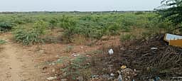 வீணாக கடலில் கலக்கும் நீா்
விவசாயிகள் போராட்டம் கைகொடுக்குமா?
