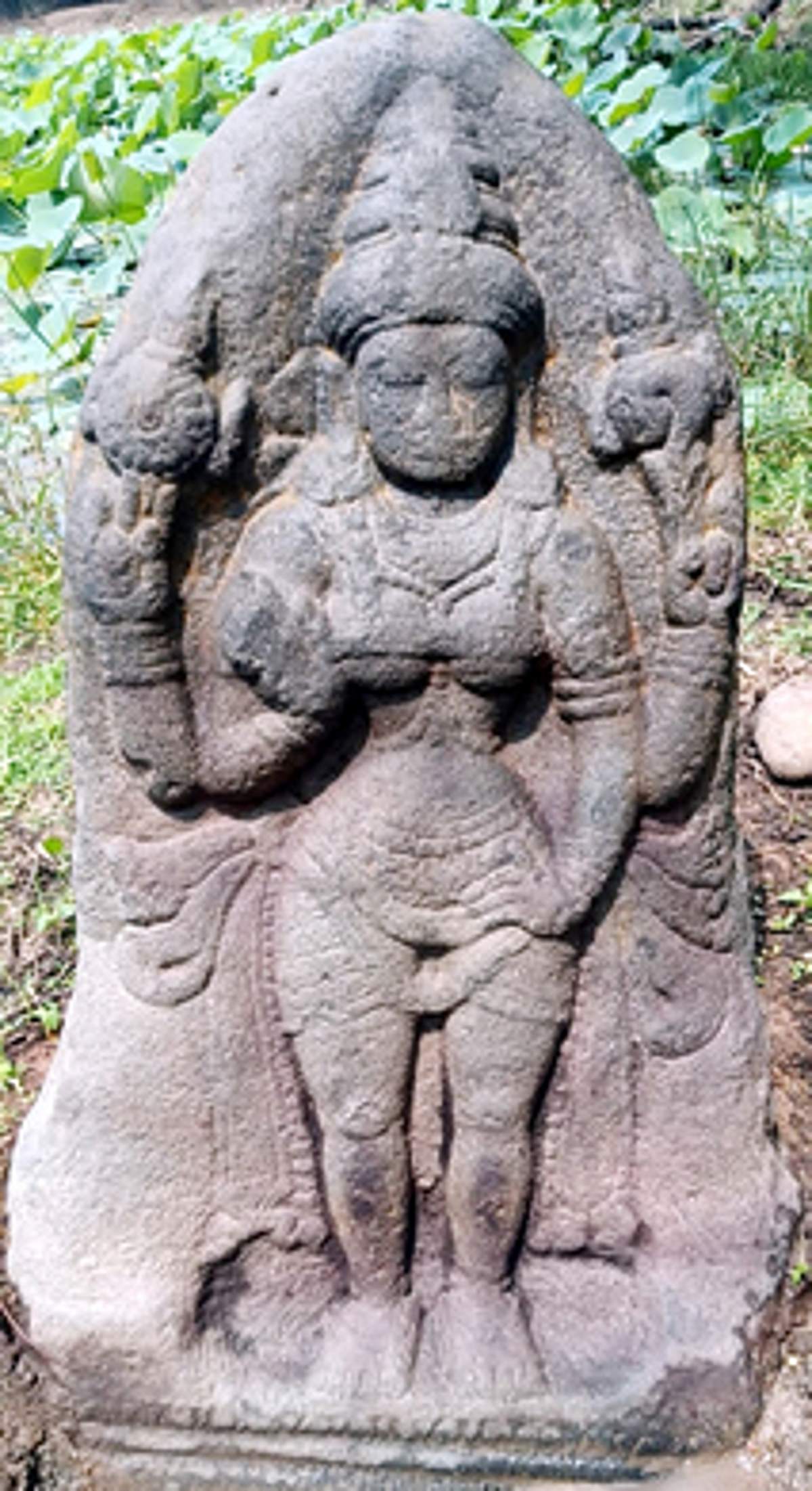 News image