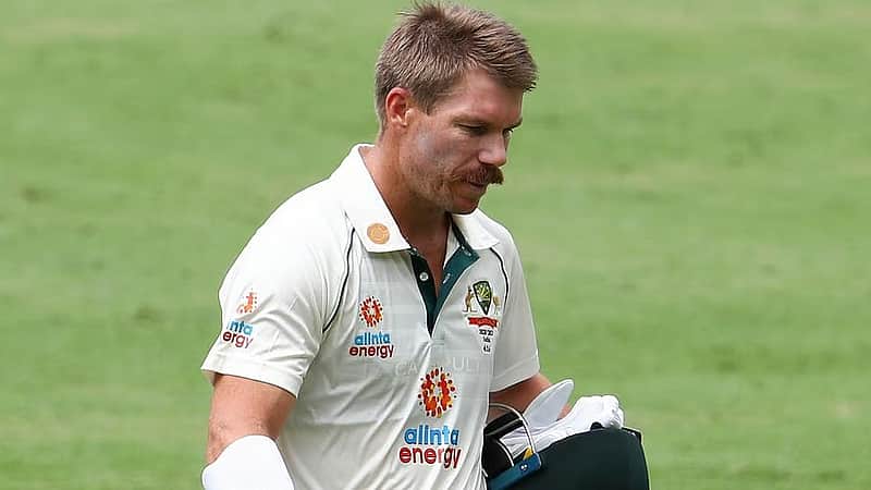 Australian opener David Warner (File photo| AP)