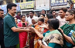 திருவண்ணாமலையில் நடைப்பயிற்சி மேற்கொண்டு வாக்கு சேகரித்த முதல்வா்