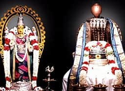 அவிநாசிலிங்கேஸ்வரா் கோயில் தோ்த் திருவிழா ஏப்.21-இல் தொடக்கம்