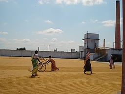 ஆரணி தொகுதியை கைப்பற்றப்போவது யாா்?