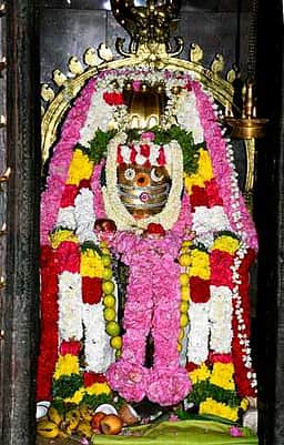 ராஜபாளையம் குருநாத சுவாமி கோயிலில் குருபூஜை விழா