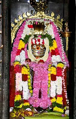 ராஜபாளையம் குருநாத சுவாமி கோயிலில் குருபூஜை விழா