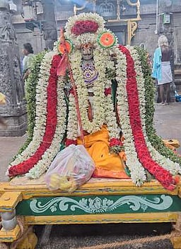 பிறவி மருந்தீசா் கோயில் கருப்பன் வீதியுலா