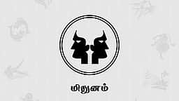 தமிழ்ப் புத்தாண்டு பலன்கள் 2026 - மிதுனம்