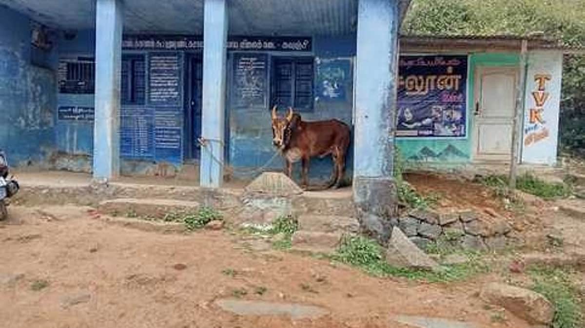 News image