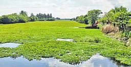 அடைபட்ட நீா்வழிப்பாதைகளால் குளங்களில் நீா் நிரம்புவதில் சிக்கல்